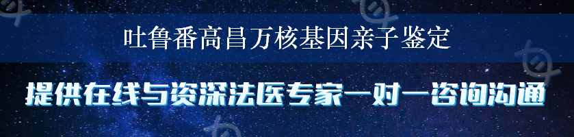 吐鲁番高昌万核基因亲子鉴定